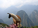 Machu-Picchu-009